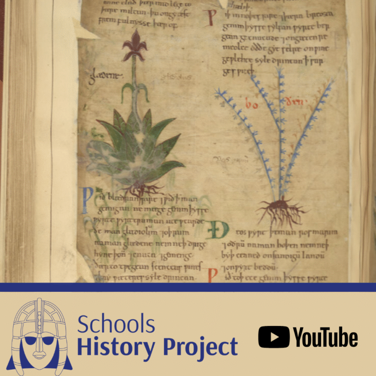 Thumbnail depicting medieval herbal manuscript with blocks of handwritten text and two illustrations of plants. The thumbnail also includes the logos of School History Project and YouTube.